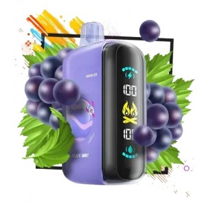 Elf Bar RAYA D3 25000 Grape Mint