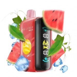 Elf Bar RAYA D3 25000 Strawberry Watermelon